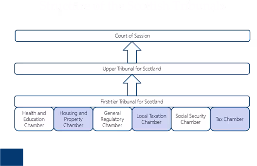 First-tier tribunals - Roles